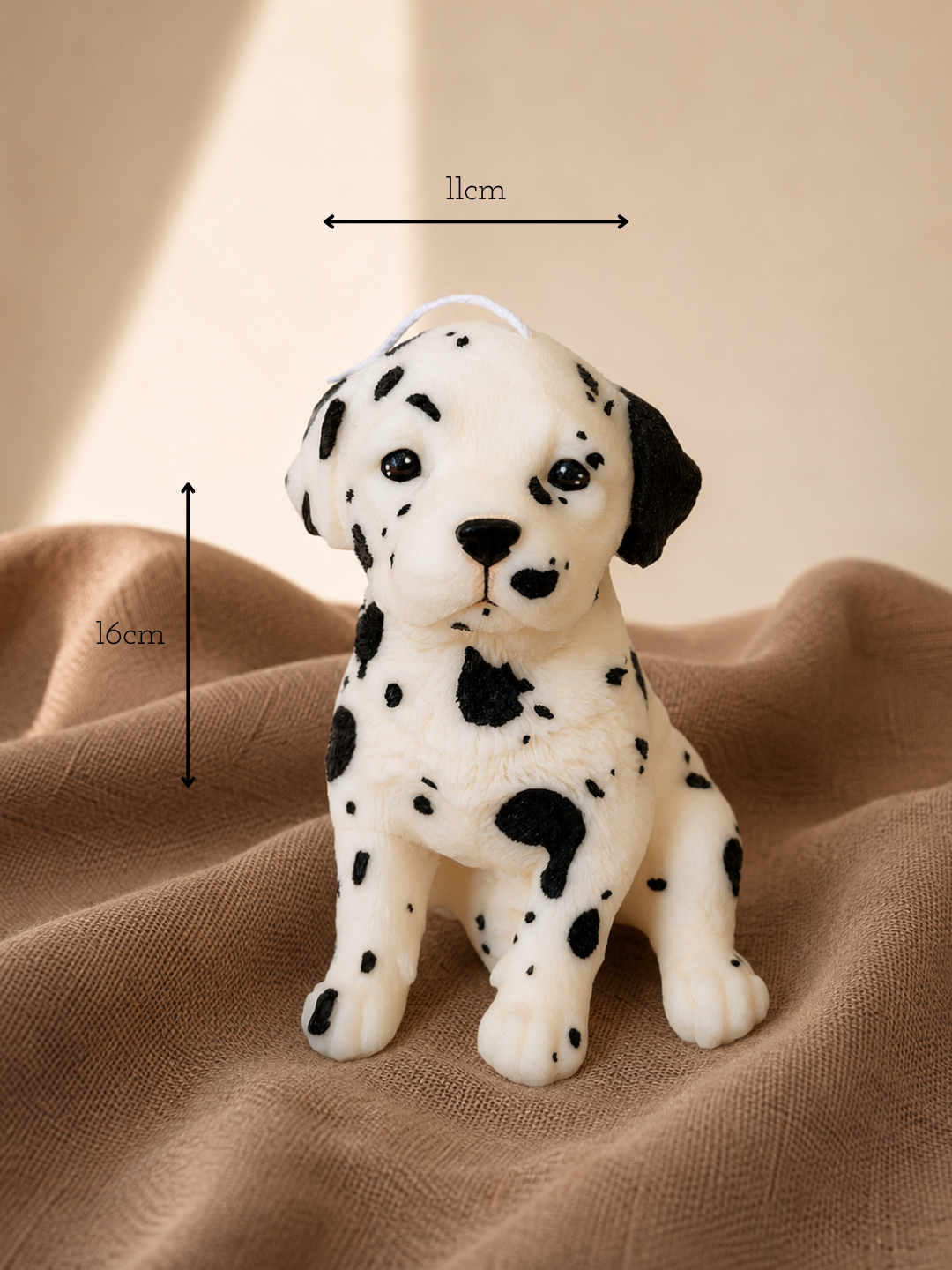 Dalmata