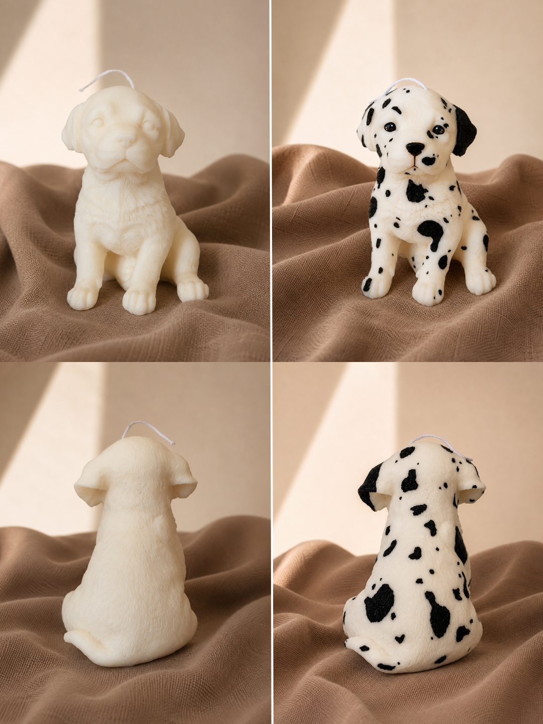 Dalmata
