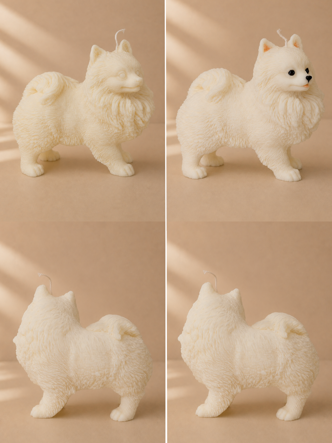 Volpino di Pomerania