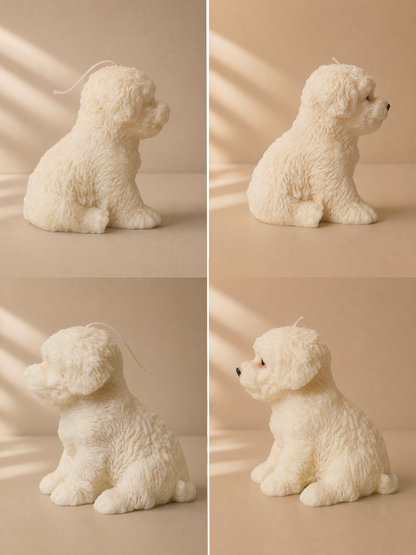 Maltese