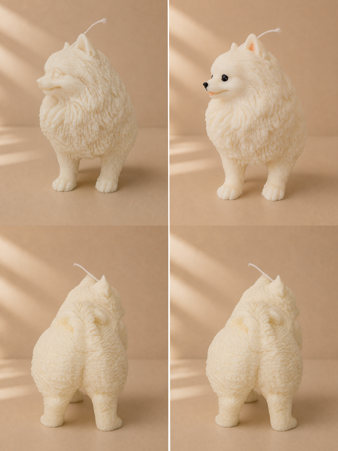 Volpino di Pomerania