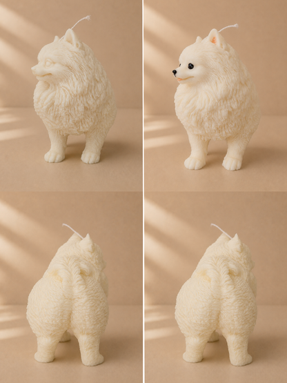 Volpino di Pomerania