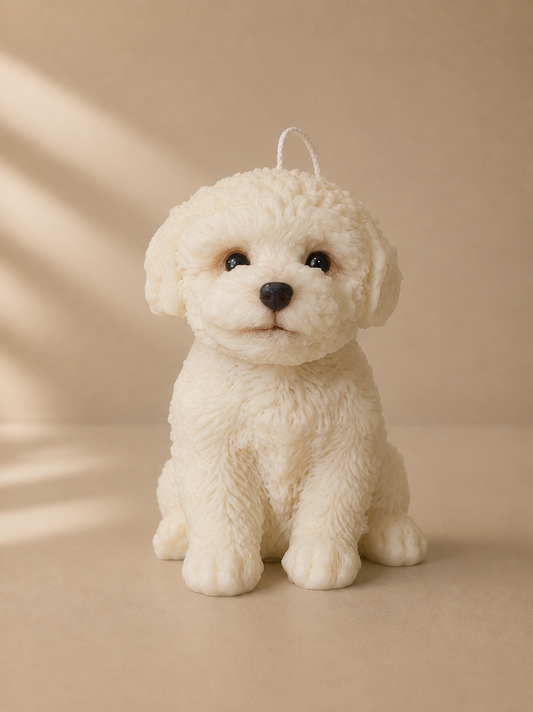 Maltese