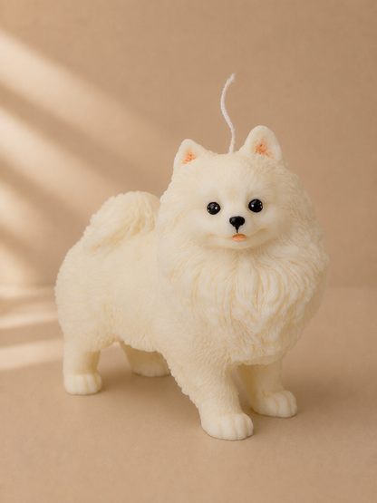 Volpino di Pomerania