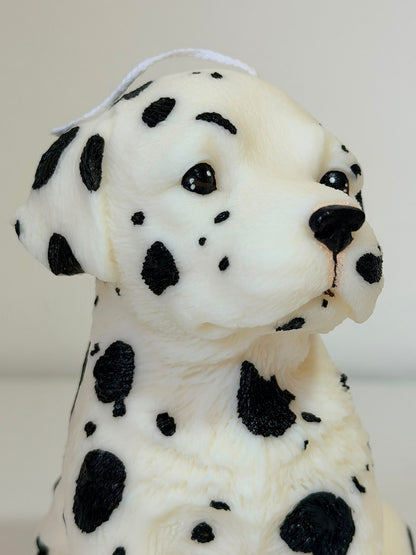 Dalmata