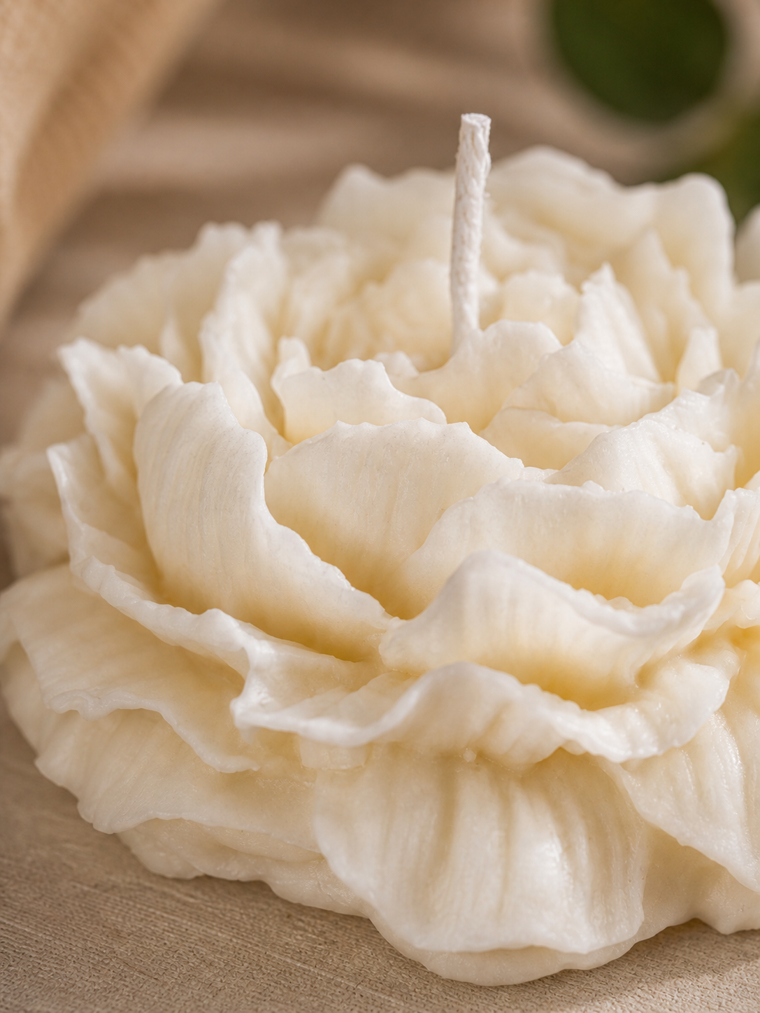 Little peony