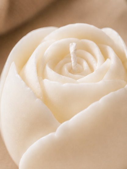 Little rose