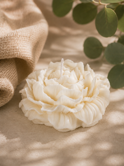 Little peony