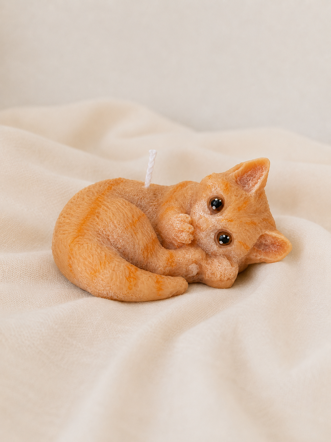 Gattini