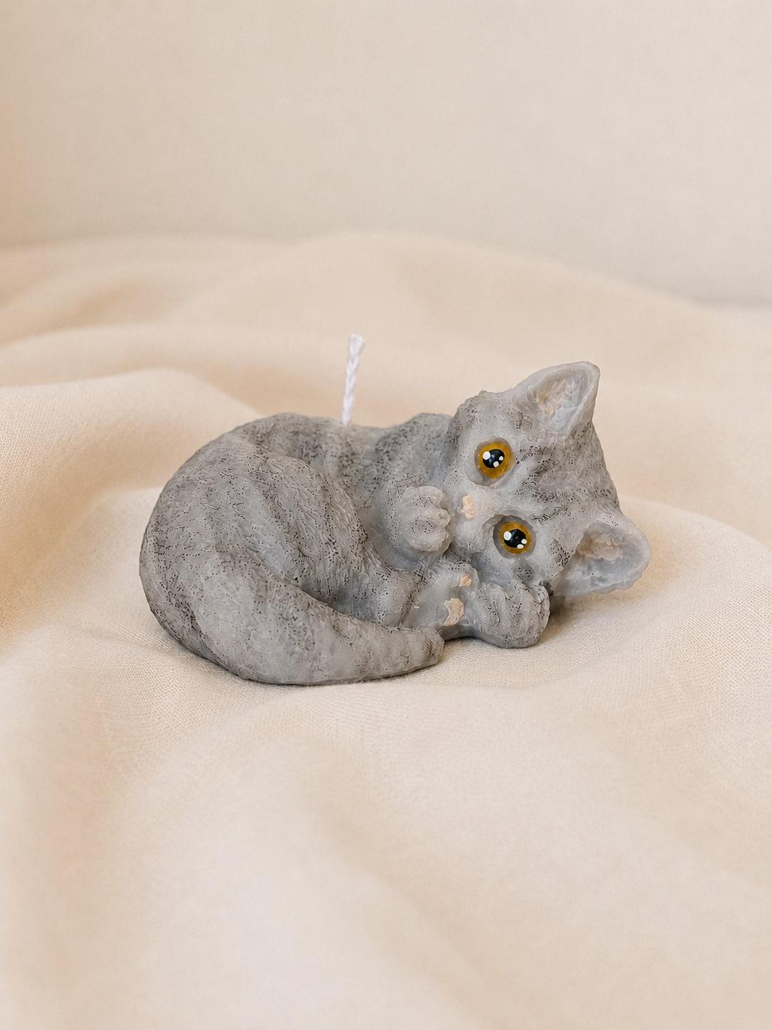 Gattini