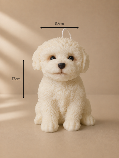 Maltese