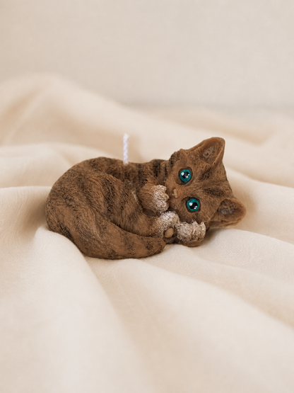 Gattini