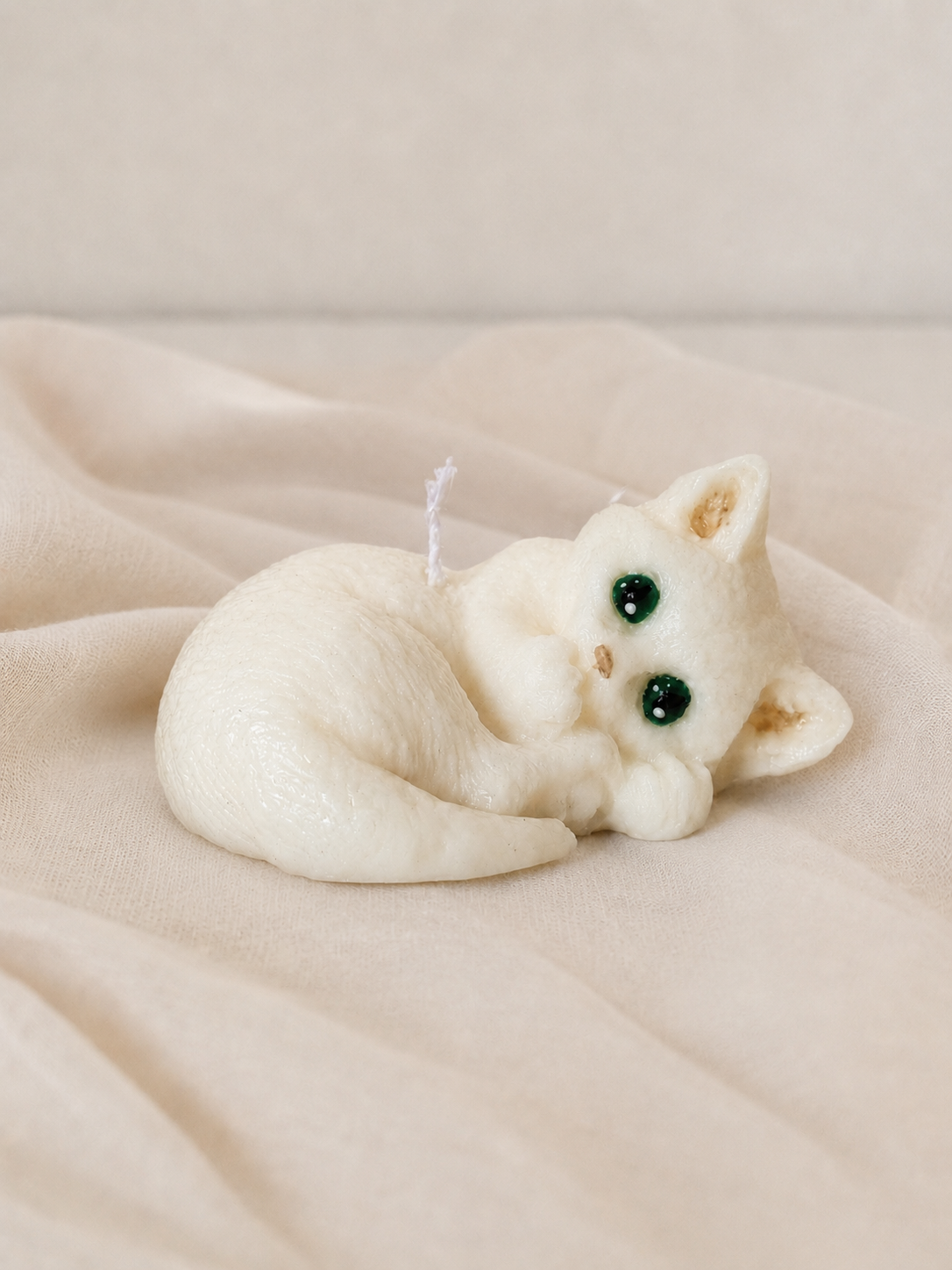 Gattini