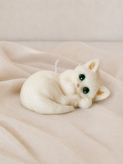 Gattini