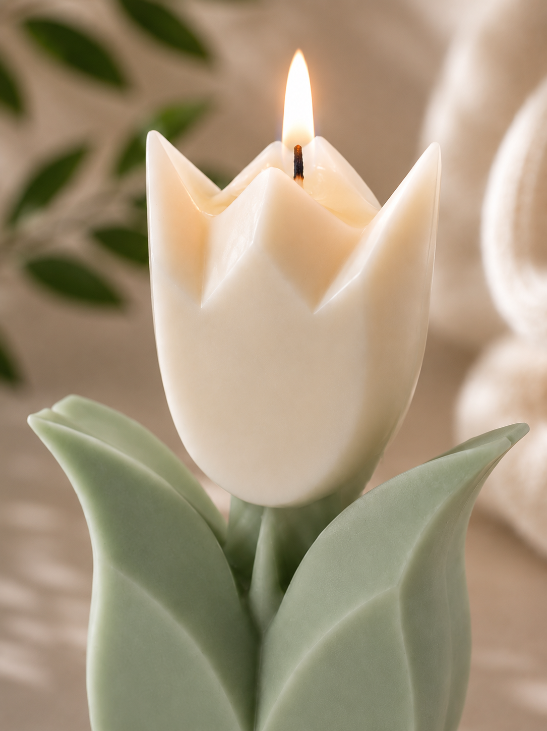 Tulip bloom