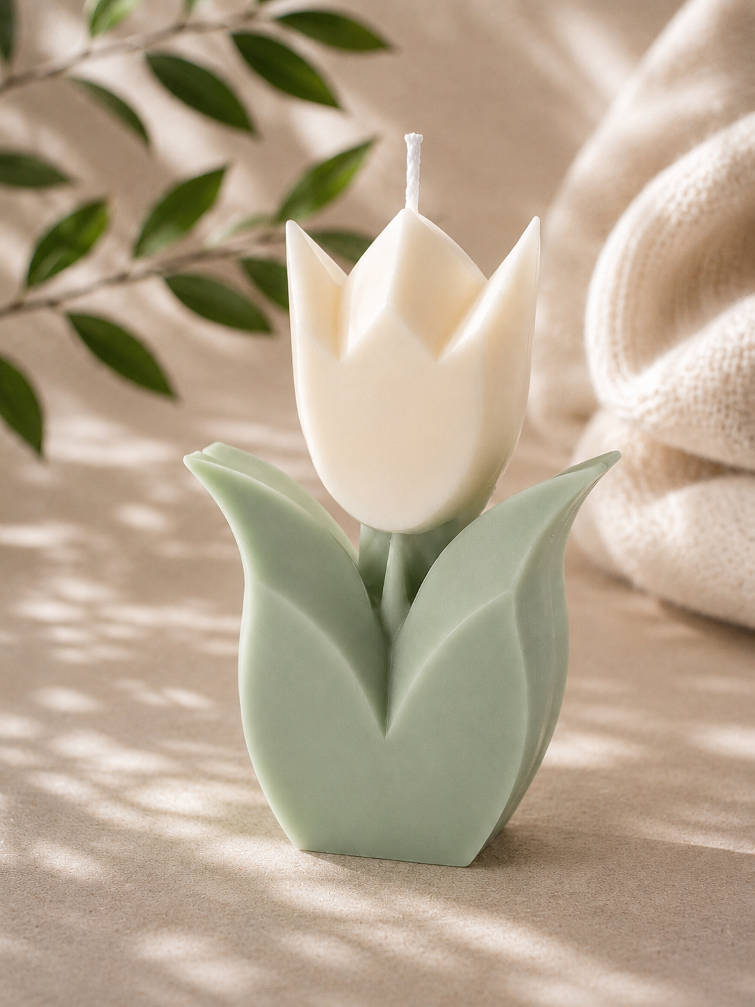 Tulip bloom