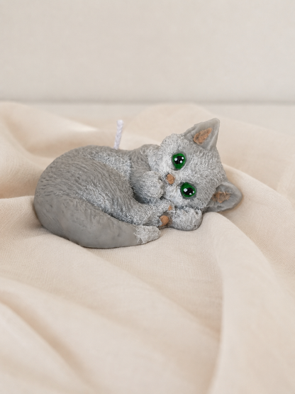 Gattini