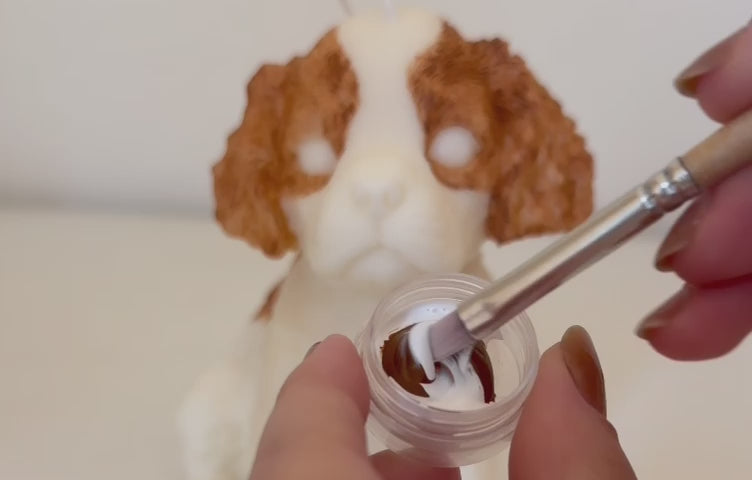 Carica il video: 