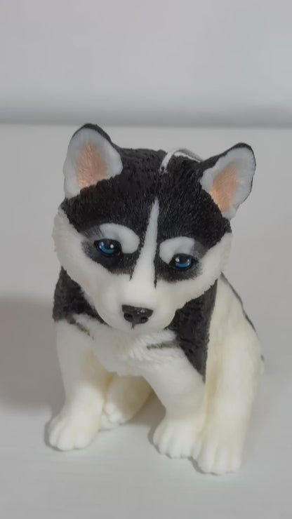 Husky